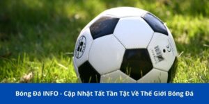 Bóng Đá INFO