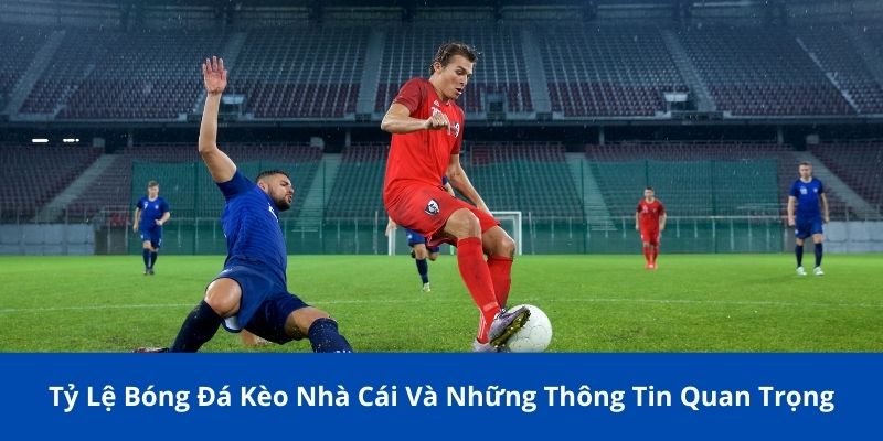 tỷ lệ bóng đá kèo nhà cái